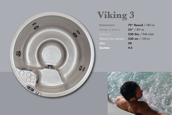 Viking 3