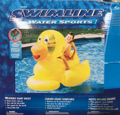 Duck